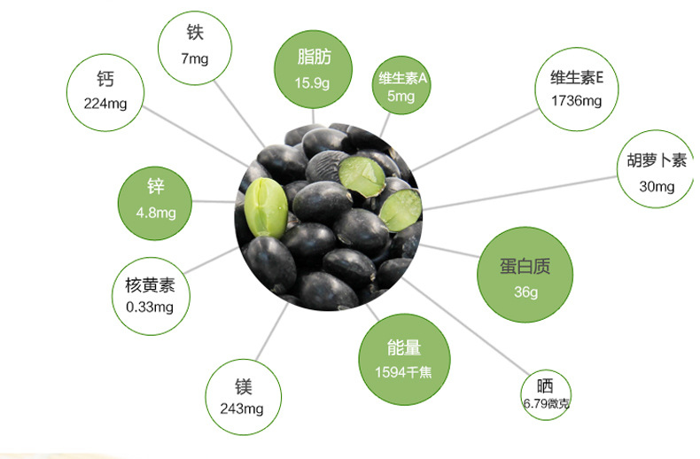 山东岁耕优质绿芯心黑豆颗粒饱满圆润种植基地批发招商代发