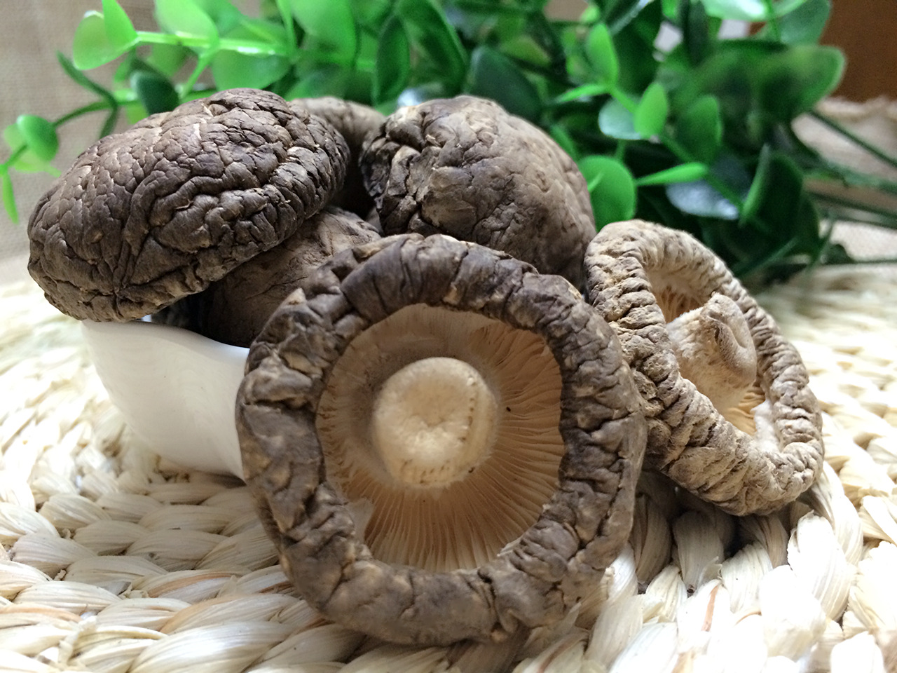 品种 普通香菇 种类 干香菇 等级 特级