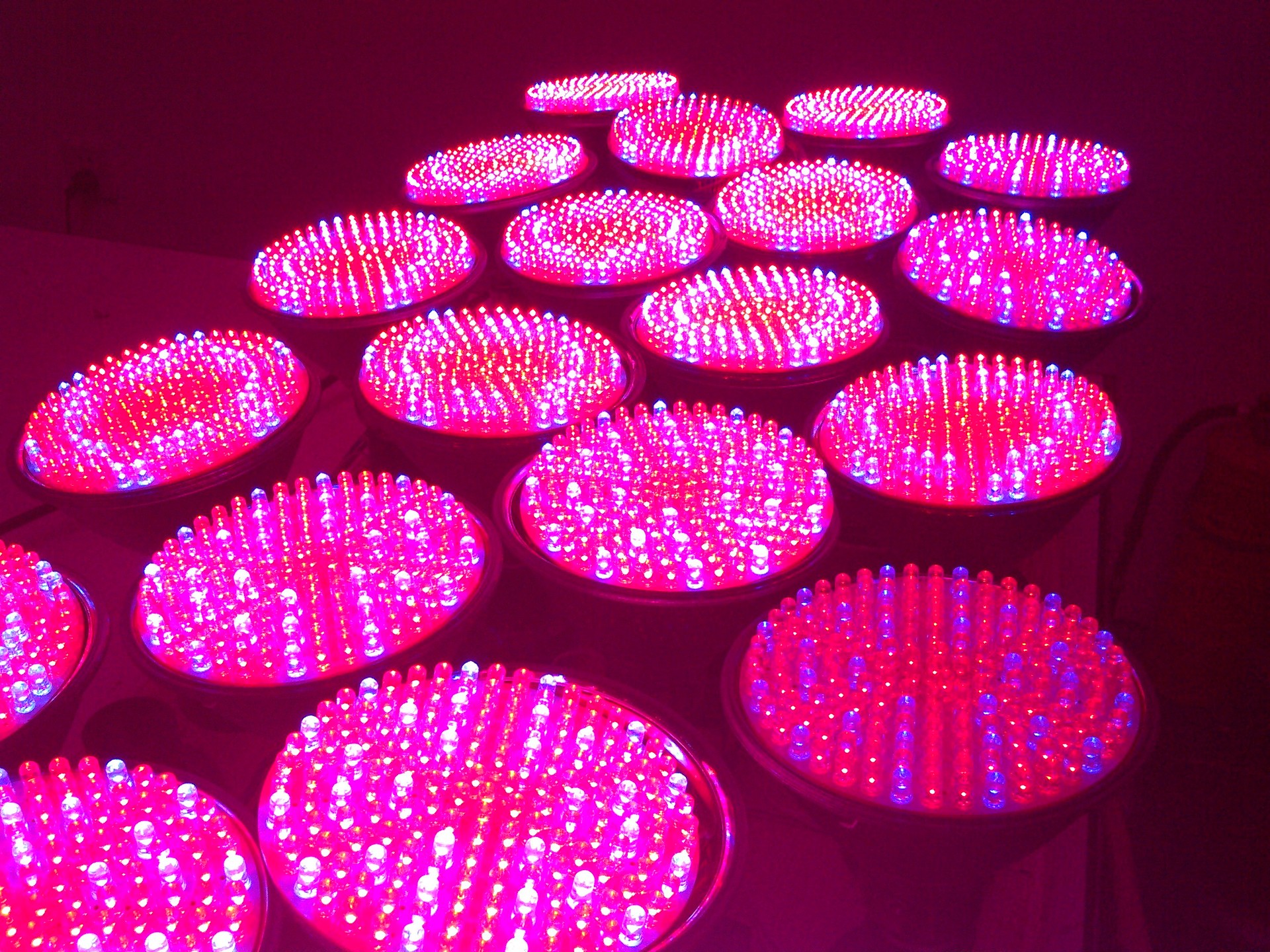 植物生长灯_led植物灯 小功率par38植物生长灯 630nm 阿里巴巴