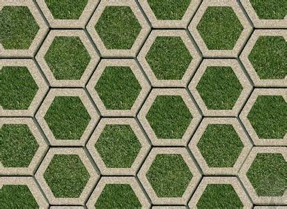 生产销售六边形护坡砖植草砖400x300x80本色