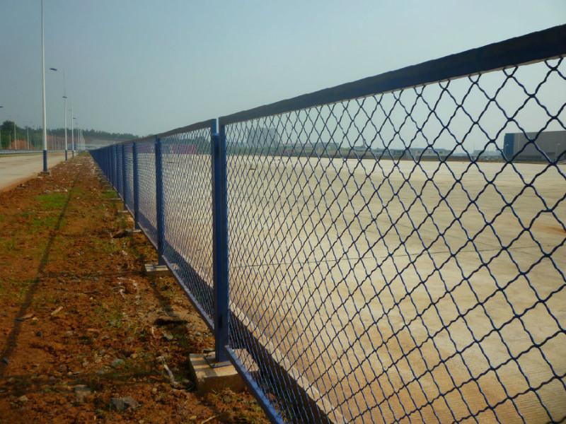 天津美格网 镀锌狗笼子网 防盗窗镀锌铁丝网现货厂家批发 美格网