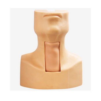 高级环甲膜穿刺及气管切开插管训练模型 gd/j58