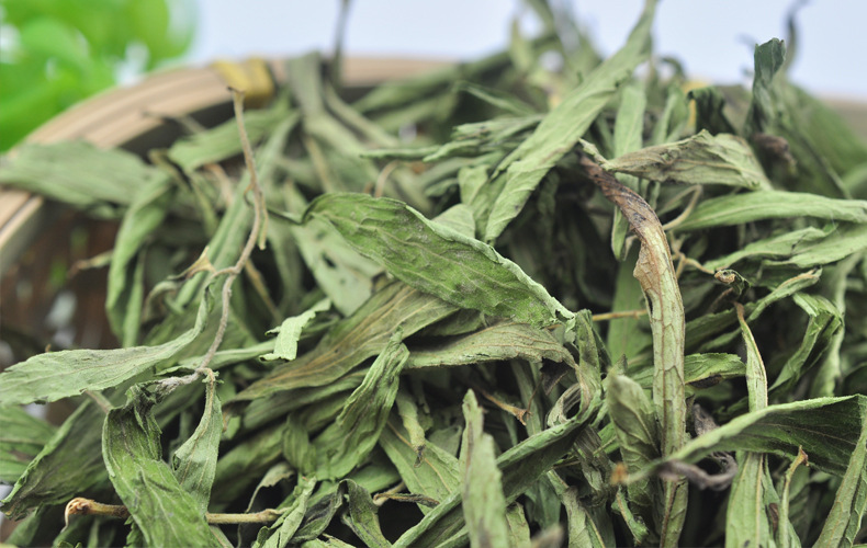 批发散装特级甜菊叶 甜叶菊茶 甜叶菊干叶