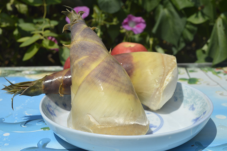 2016批发马蹄笋 新鲜马蹄笋水煮马蹄笋嫩香水煮笋福建