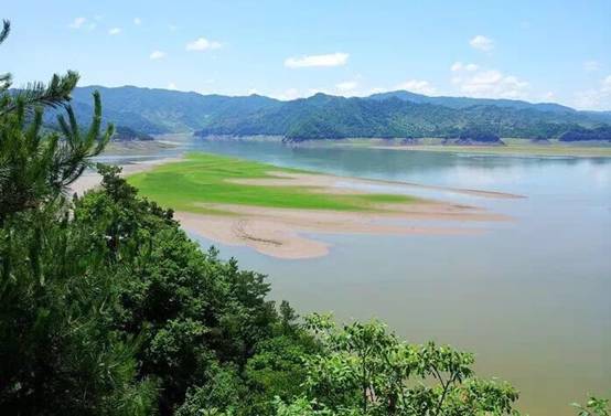 江心沙洲 铺满绿色 原始风光 自然天成