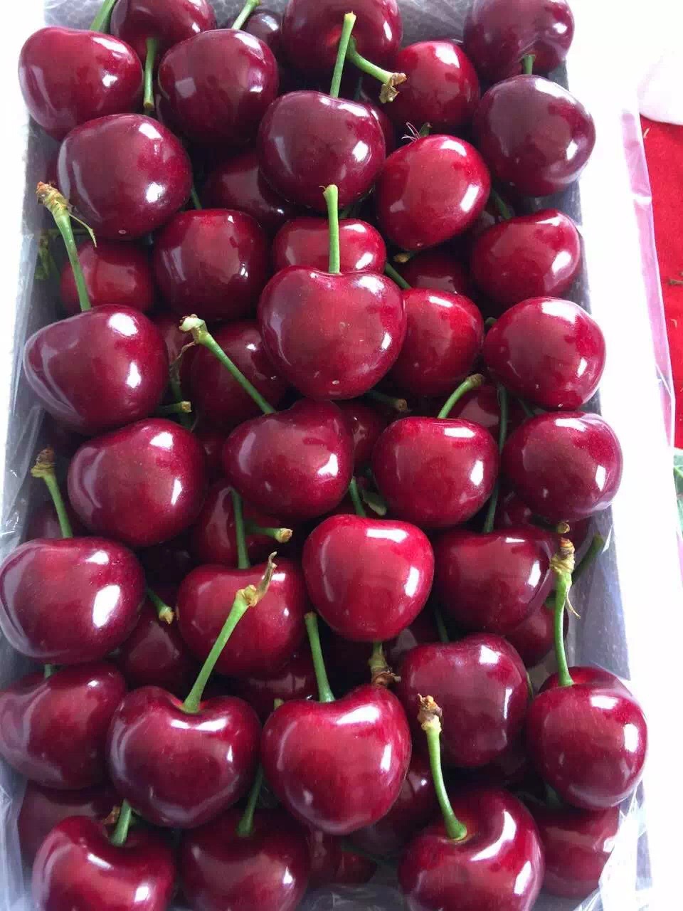大连美早大樱桃特价预售新鲜樱桃汁多味美孕妇水果3斤包邮4月发货