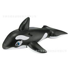 加厚环保PVC材质 水上玩具 海洋动物充气坐骑  批发