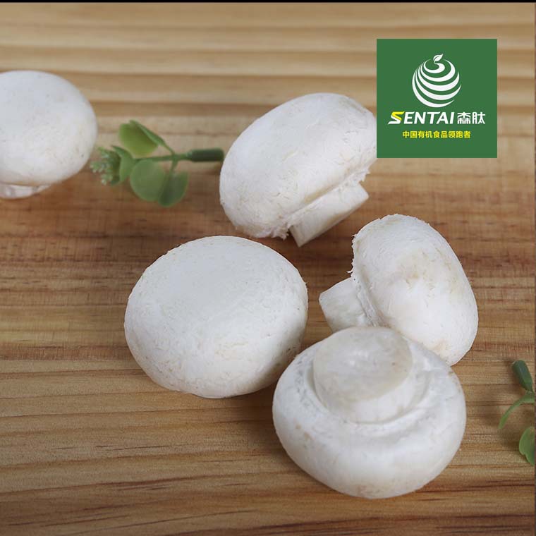 四川食用菌蘑菇厂家双孢菇鲜菇盒装300g商