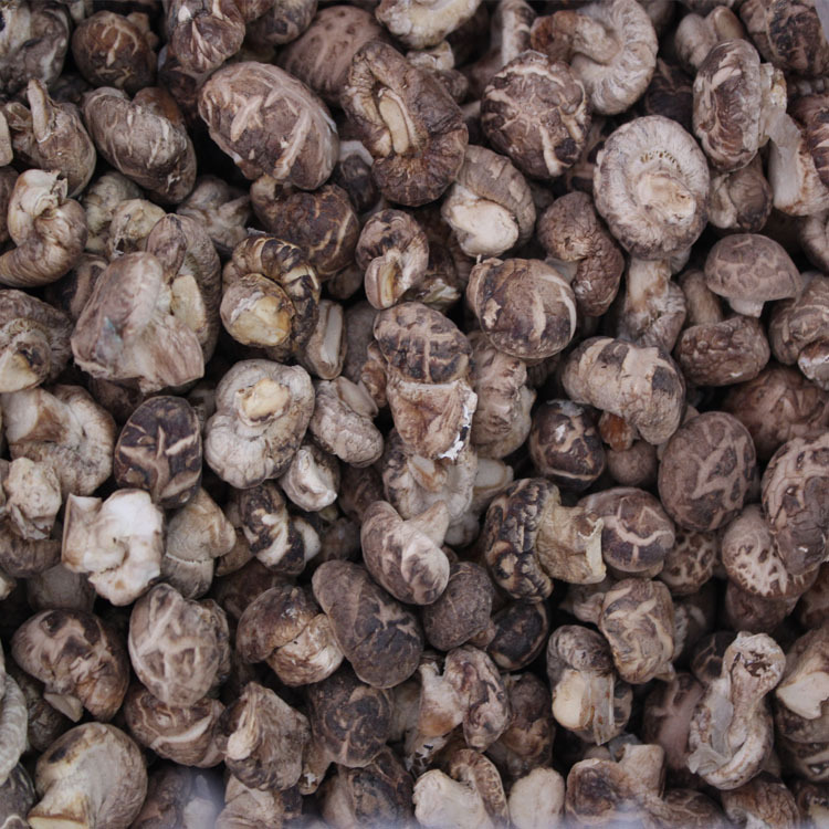 8-2香菇仔 干货食用菌山珍花菇丁