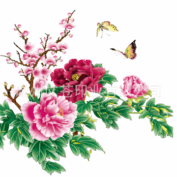 360_360gif 动态图 动图