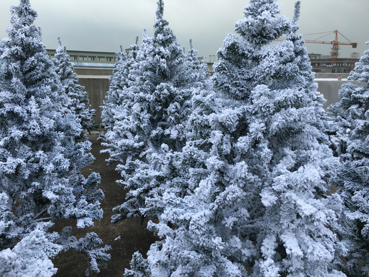 1.8米人造雪景 圣诞树 落雪植绒圣诞树 喷雪圣诞树 圣诞节场景