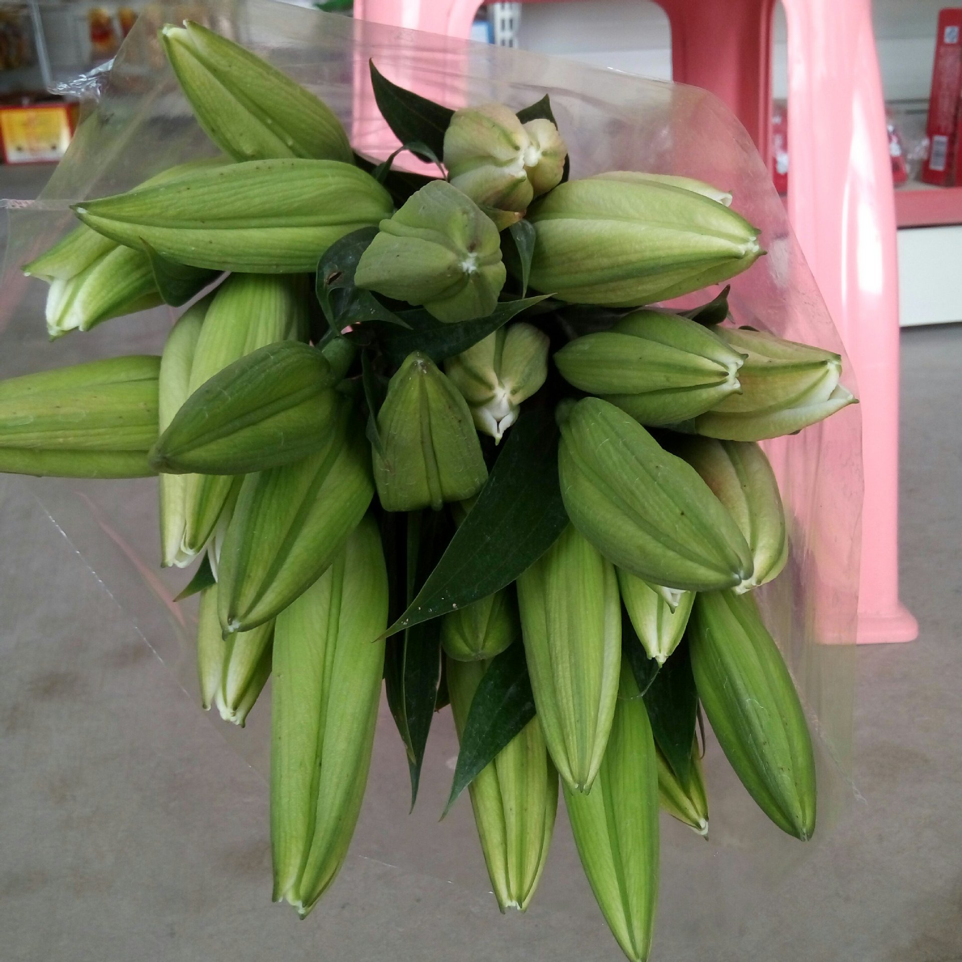 云南鲜切花批发百合剃伯鲜花批发情人节母亲节一件代发