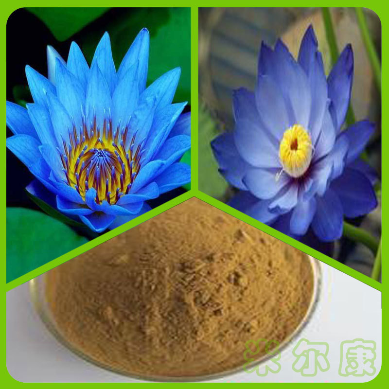 埃及蓝睡莲提取物301蓝莲花提取物原料粉规格多种