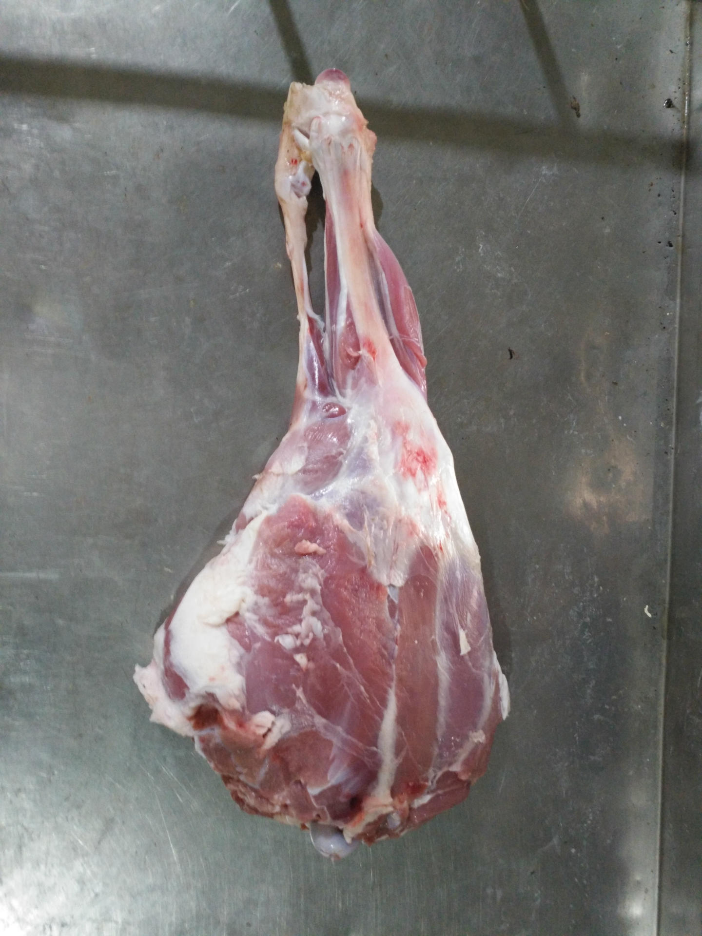 带骨羔羊后腿清真羊后腿 带骨羊腿肉 羊肉批发