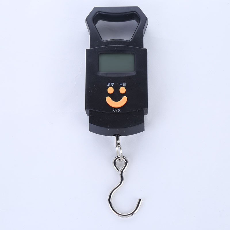 手持电子手提称50kg电子秤便携式手提秤迷你快递钓鱼挂钩称重克秤