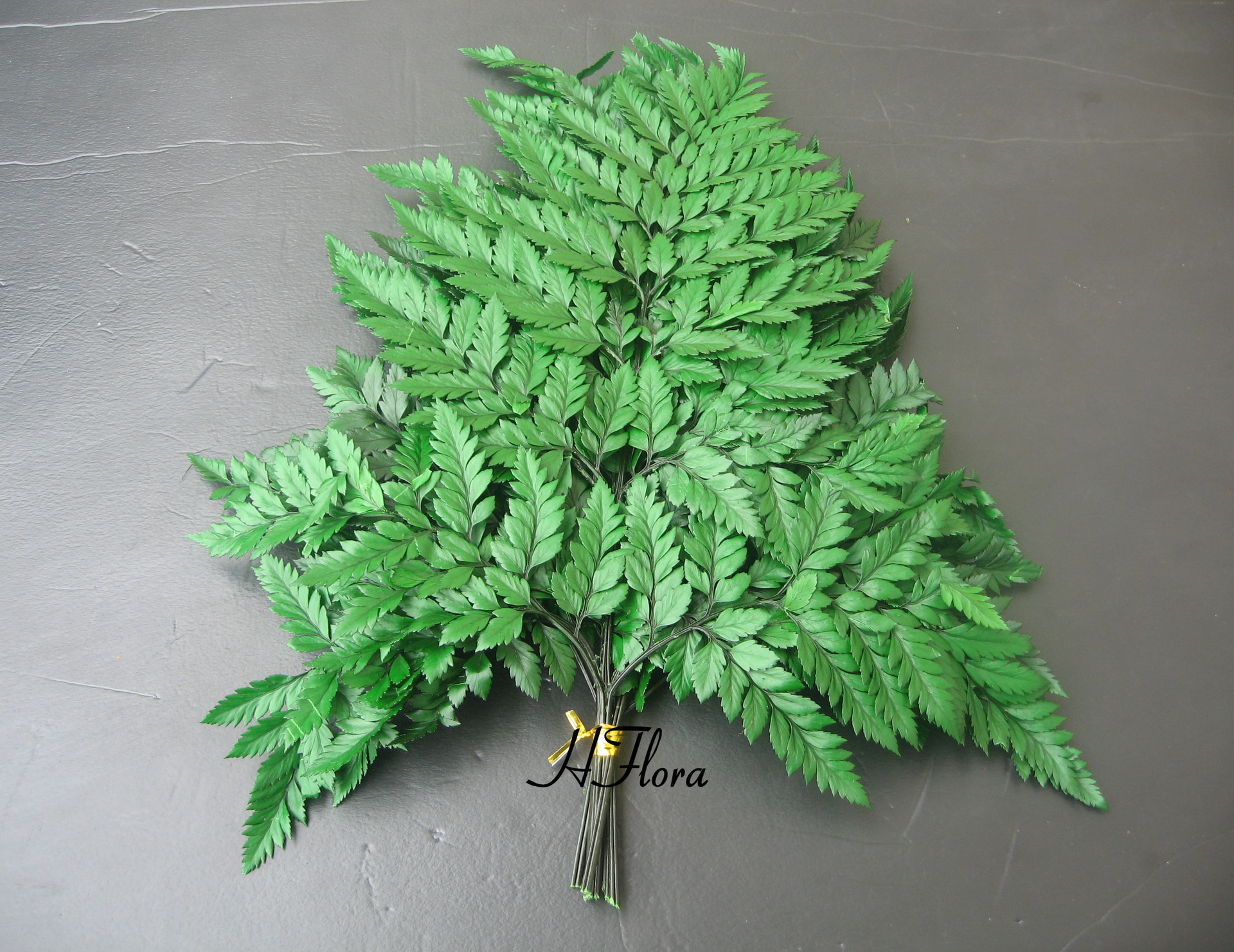 永生花高山羊齿10片一扎创意礼品保鲜花礼盒diy材料制作配材