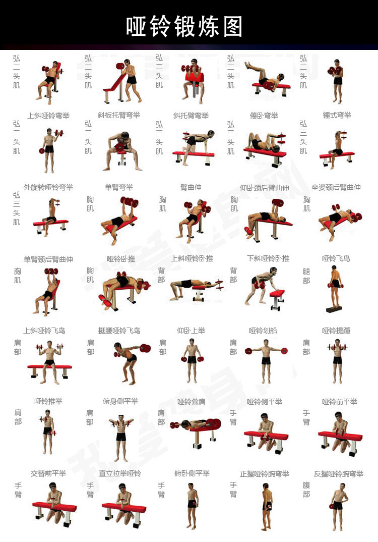 用哑铃挥拳,能增加肌肉和拳击力量和速度吗?