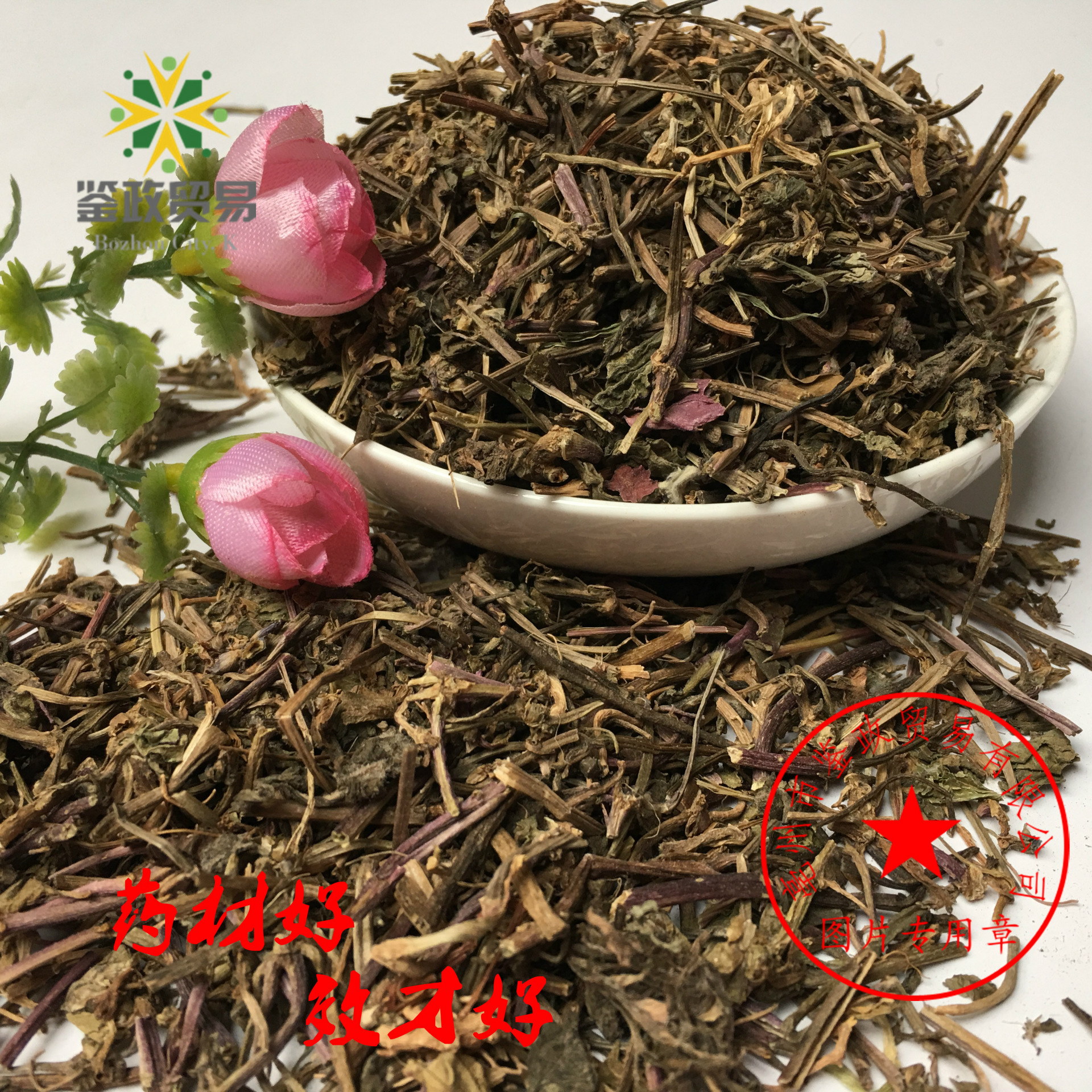 批发优质 白毛夏枯草 筋骨草 苦草 四季春草 量大从优