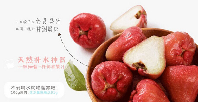 供应台湾新鲜水果 黑金刚 蜜风铃莲雾 黑珍珠 产地直销