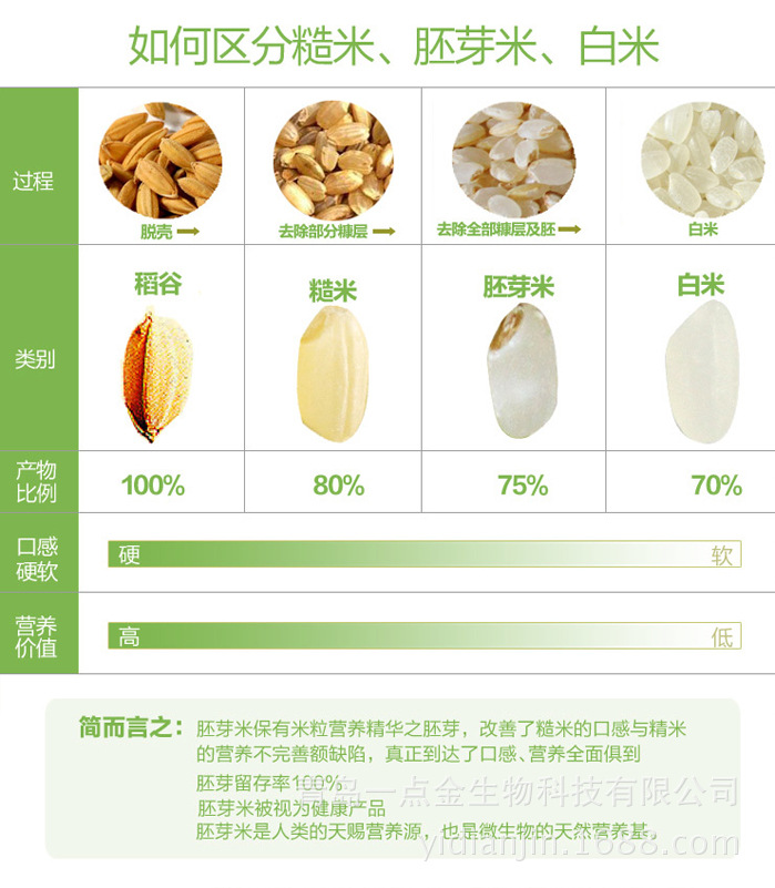 关于胚芽活米的介绍
