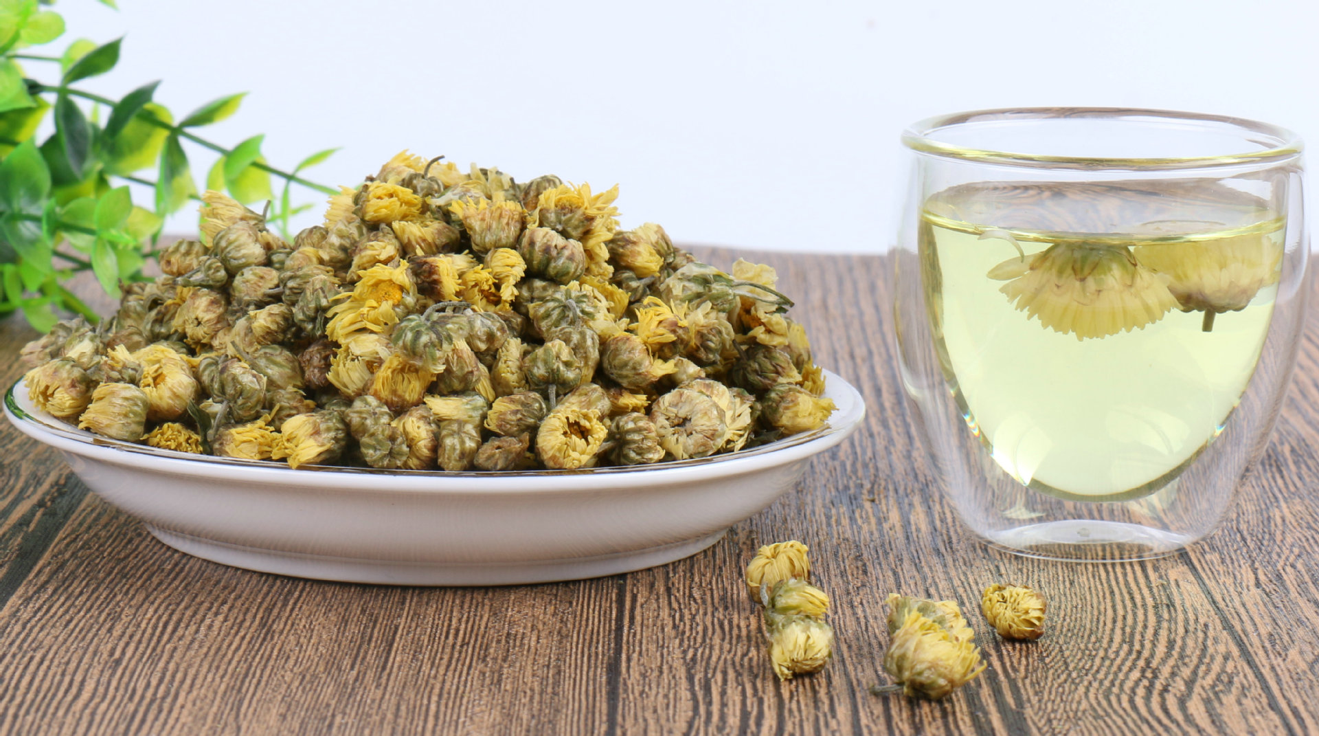 正宗桐乡杭白菊散装头采胎菊王批发特级花草茶胎菊无硫产地菊花茶