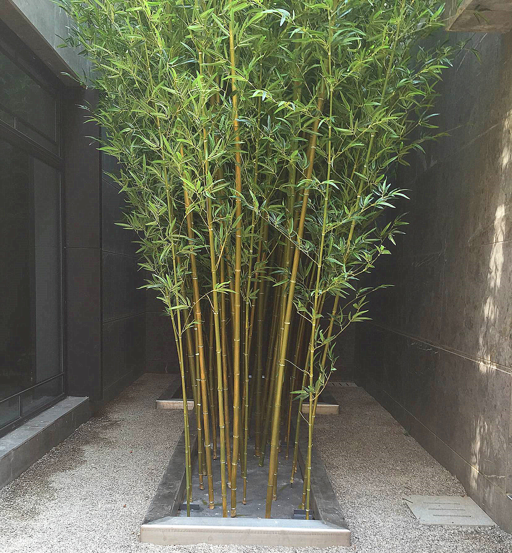 北京仿真竹子 假竹子 竹子景观绿化 商场酒店用仿真竹子 假竹竿