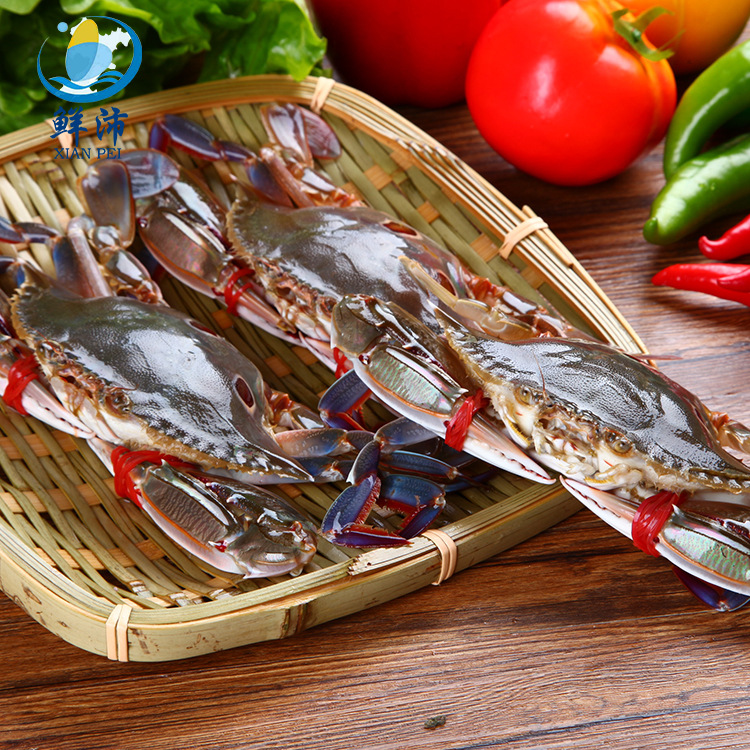 东山县特产鲜活三点蟹 批发直销鲜活海鲜海产品 冷冻野生三点蟹