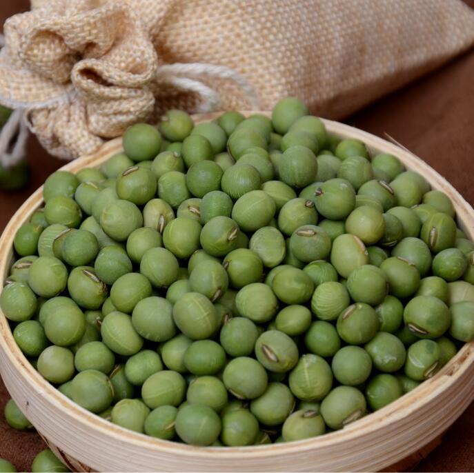 专业供应 ***有机青豆 农家绿色安全放心用 品质优良