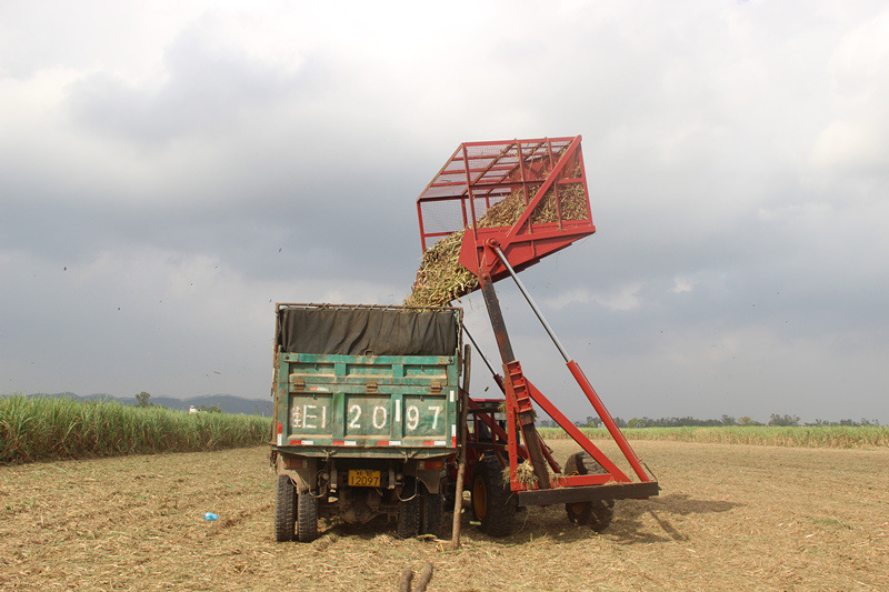 惠利牌惠利牌7ygs-11拖拽式甘蔗田间收集搬运机 挂车