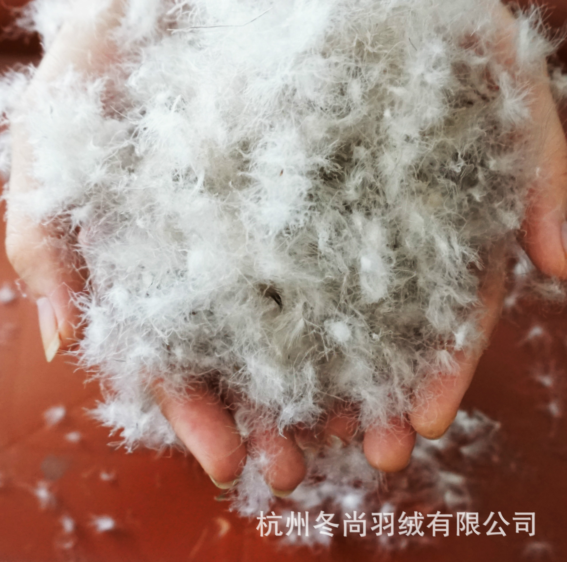 高清洁羽绒 90灰鸭绒 新国标 优质水洗羽绒 萧山羽绒厂家直销批发