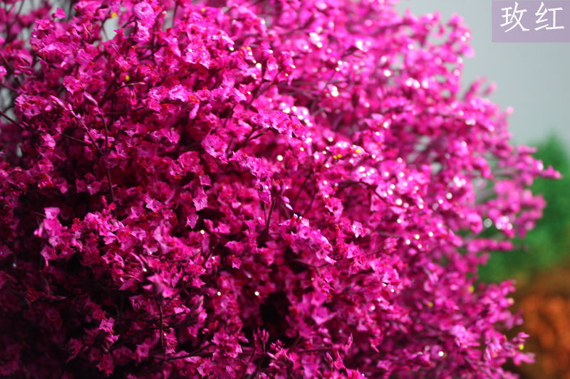 彩色水晶草云南干花基地直供八色