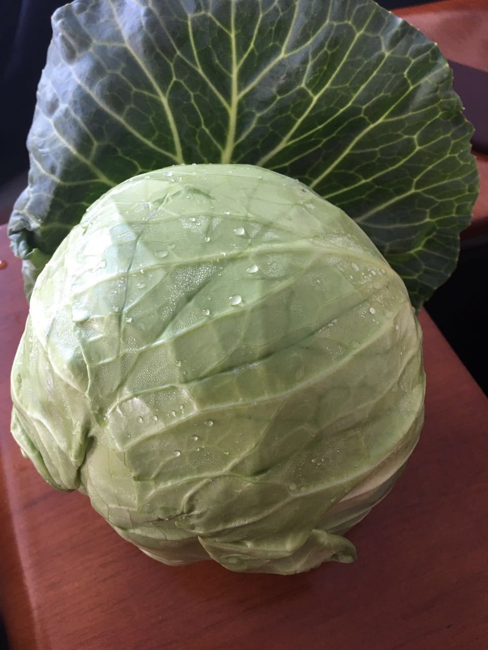 厂家直销 卷心菜基地 小甘蓝出口加工厂 北京椰菜出口1