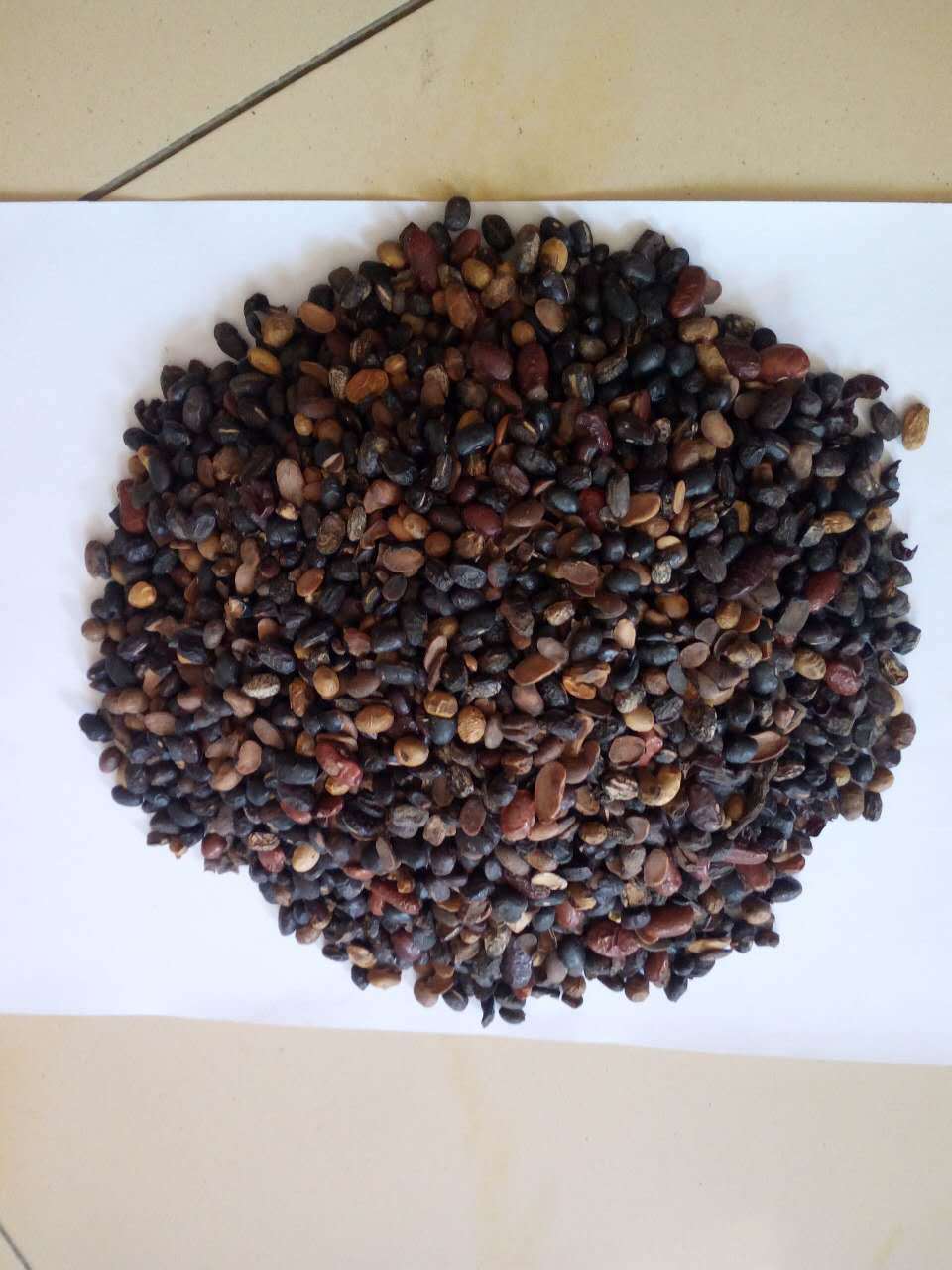 merr)的黑色种子.也是黑加仑的原名.黑豆又名橹豆,黑大豆等.