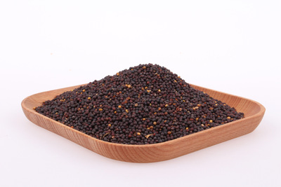 黑芥末籽 产地:河北 规格:25千克/袋