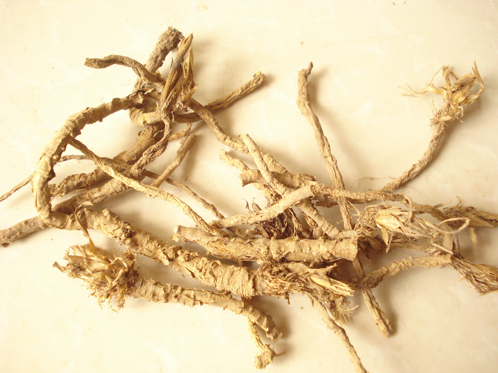 批发中药材防风 防风 片 各种规格 防风粉 量大从优