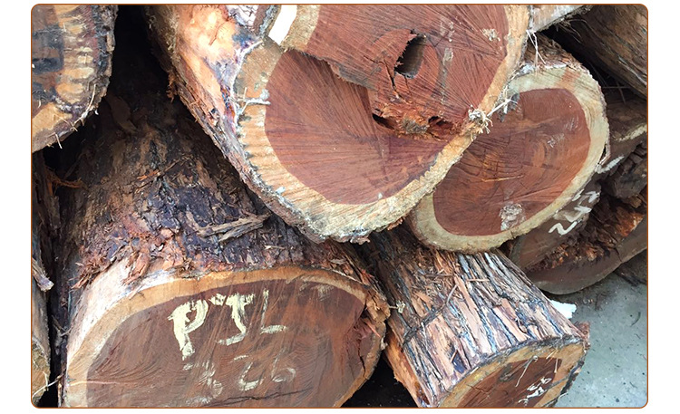 莫桑比克红贵宝原木 家具工艺品古夷苏木类原材料 厂家批发