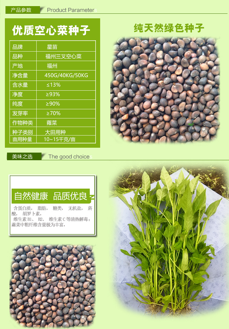 产地直销蔬菜种子三叉空心菜种子高产蕹菜种子星品太空三叉空心菜