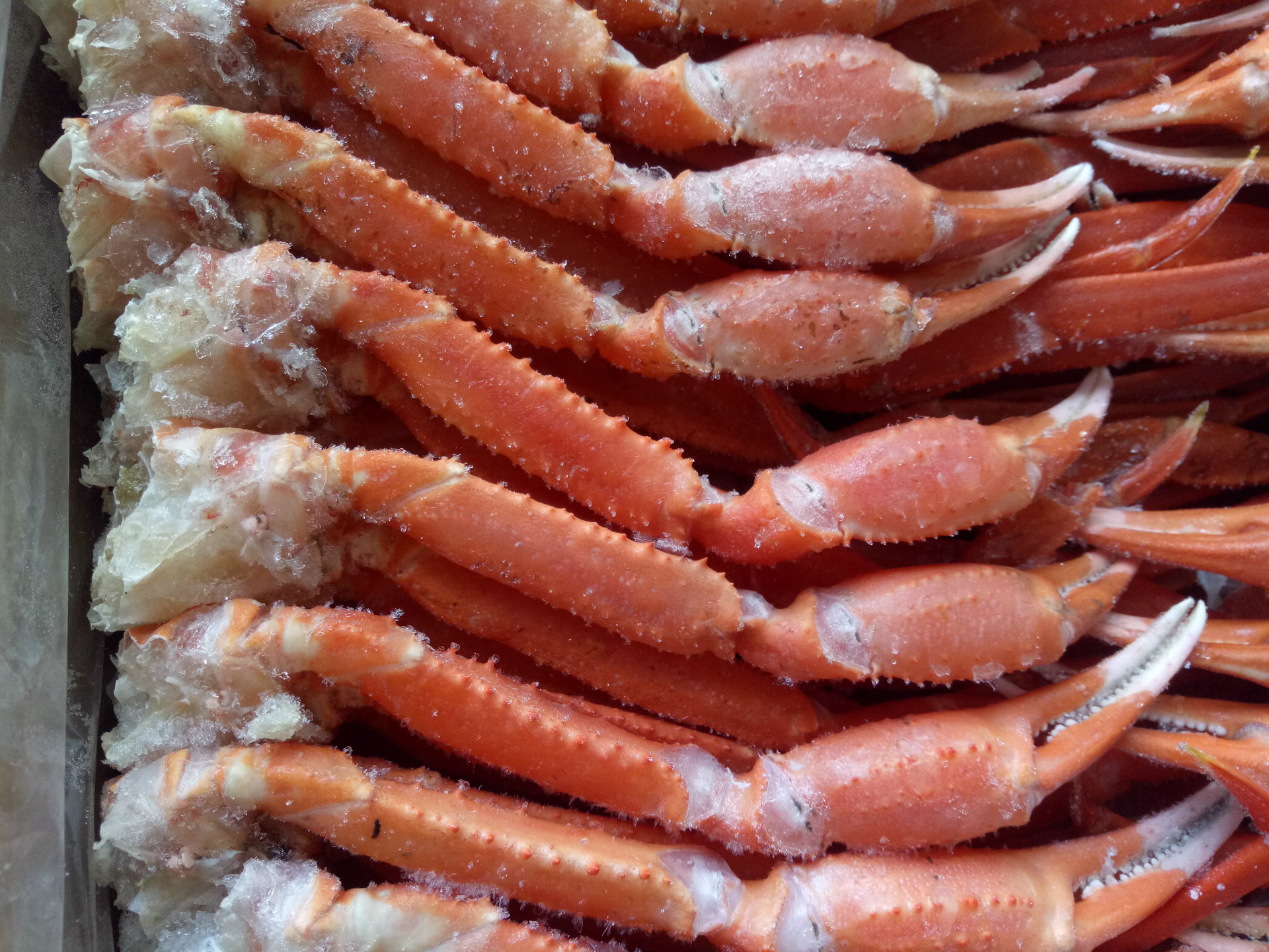 冷冻蟹脚雪蟹脚红蟹脚自助餐火锅酒店专用食材量大从优