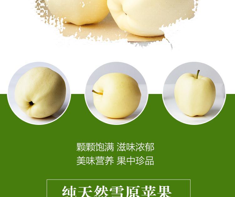 雪原白苹果 黄金帅苹果一件起批 正宗甘肃苹果5斤包邮 产地直销