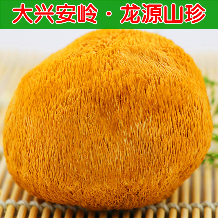 东北大兴安岭猴头菌丝体 猴头菇 猴头菇批发 猴头