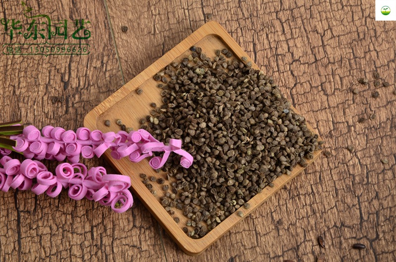 实体店铺 批发出售草花种子 勿忘草种子又名勿忘我种子