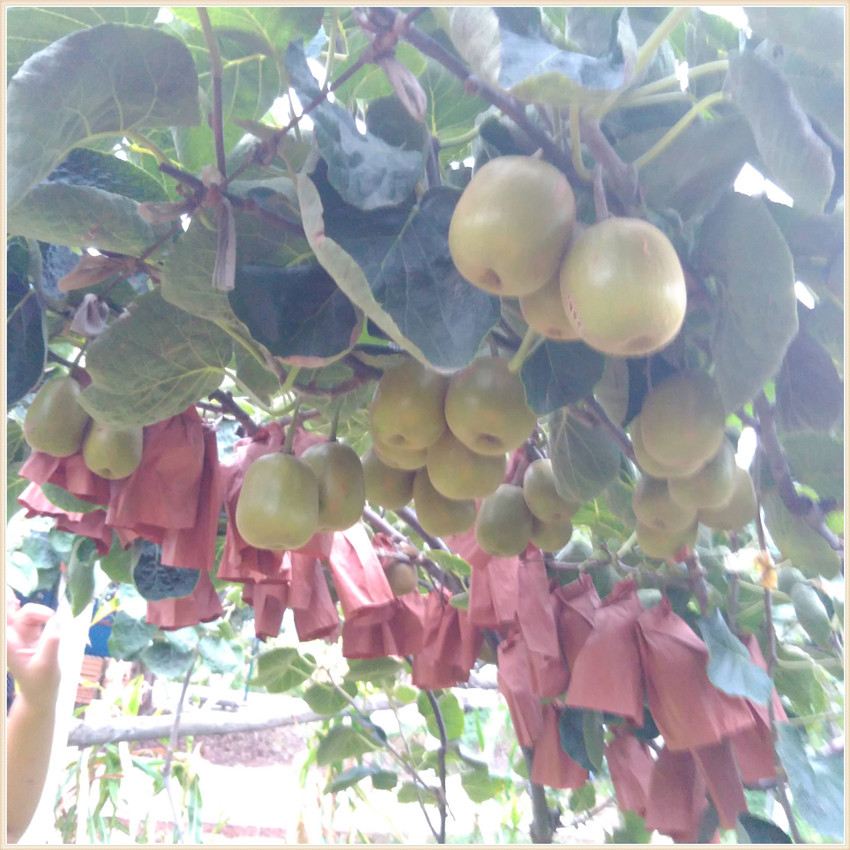 1688在哪查看产品星级 1688如何查看商品星级