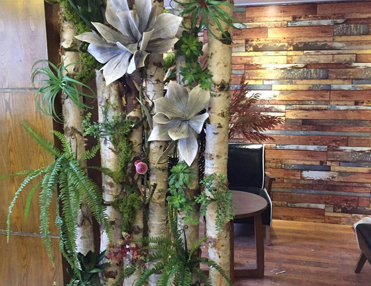 白桦树装饰树段树桩装饰白桦树服装橱窗装饰商场布置白桦树树干