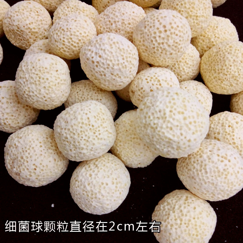 厂家直供 远红外细菌球培菌球生化球滤材水族鱼缸细菌屋过滤材料