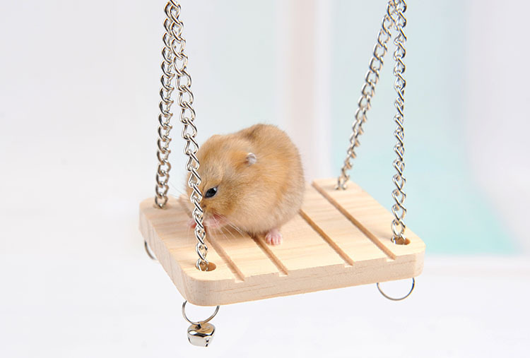 仓鼠铃铛吊链秋千 木制玩具小宠物鹦鹉鸟站台 悬挂式木质小秋千