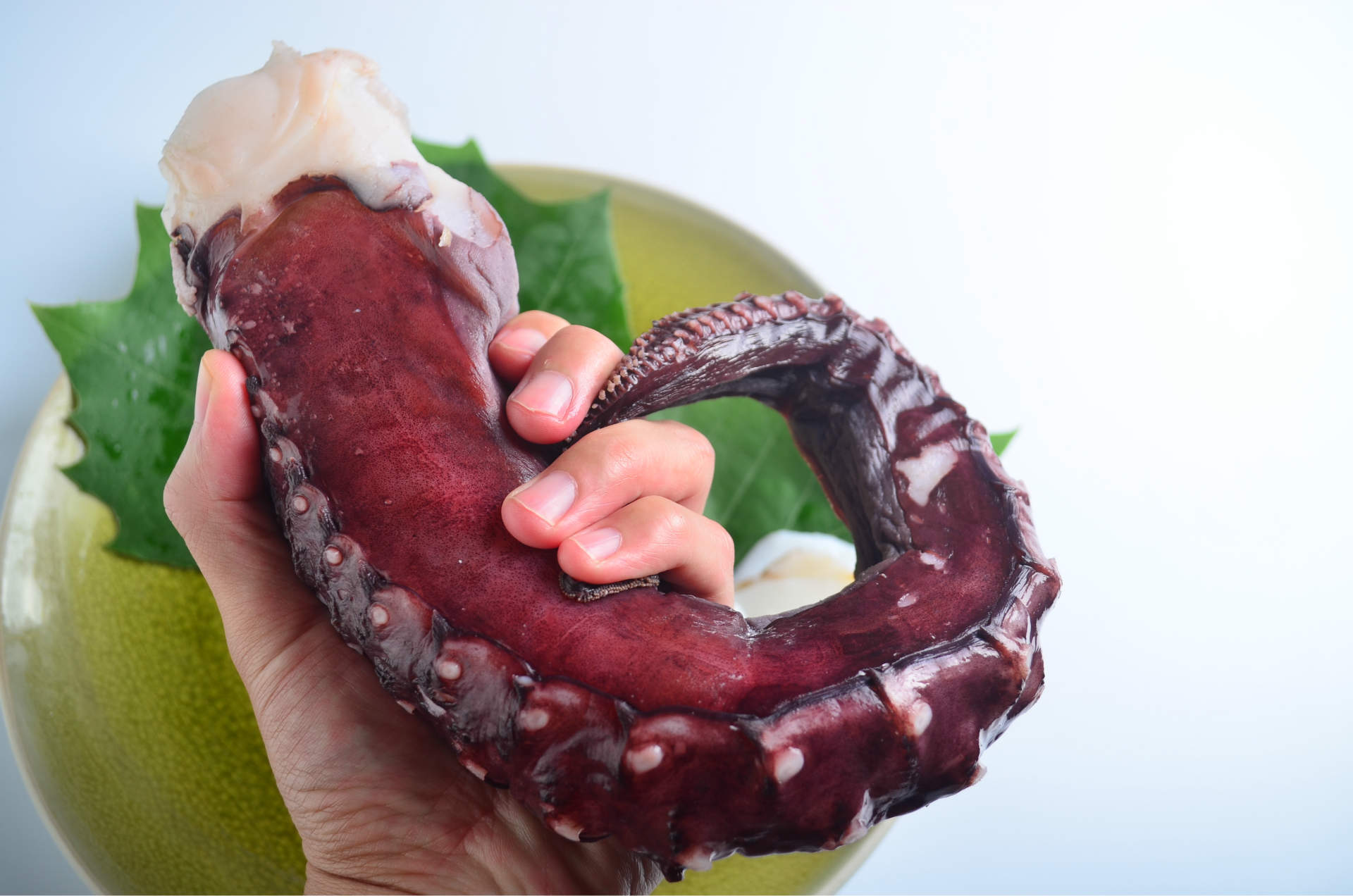 冷冻大章鱼足 八爪鱼足冷冻海鲜鱿鱼足 冷冻章鱼火锅烧烤刺身食材