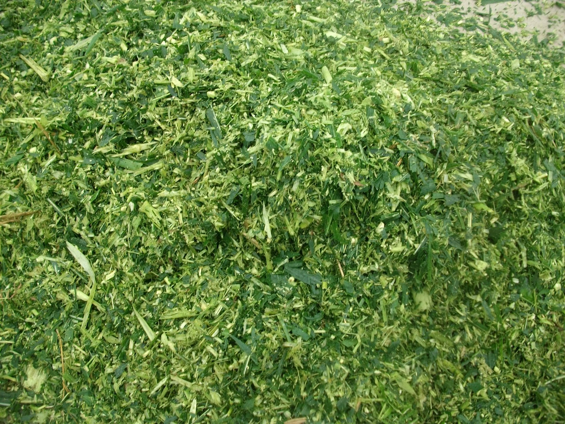 江西大型牧草青储机收割机青储机青饲料收获机青草收割机