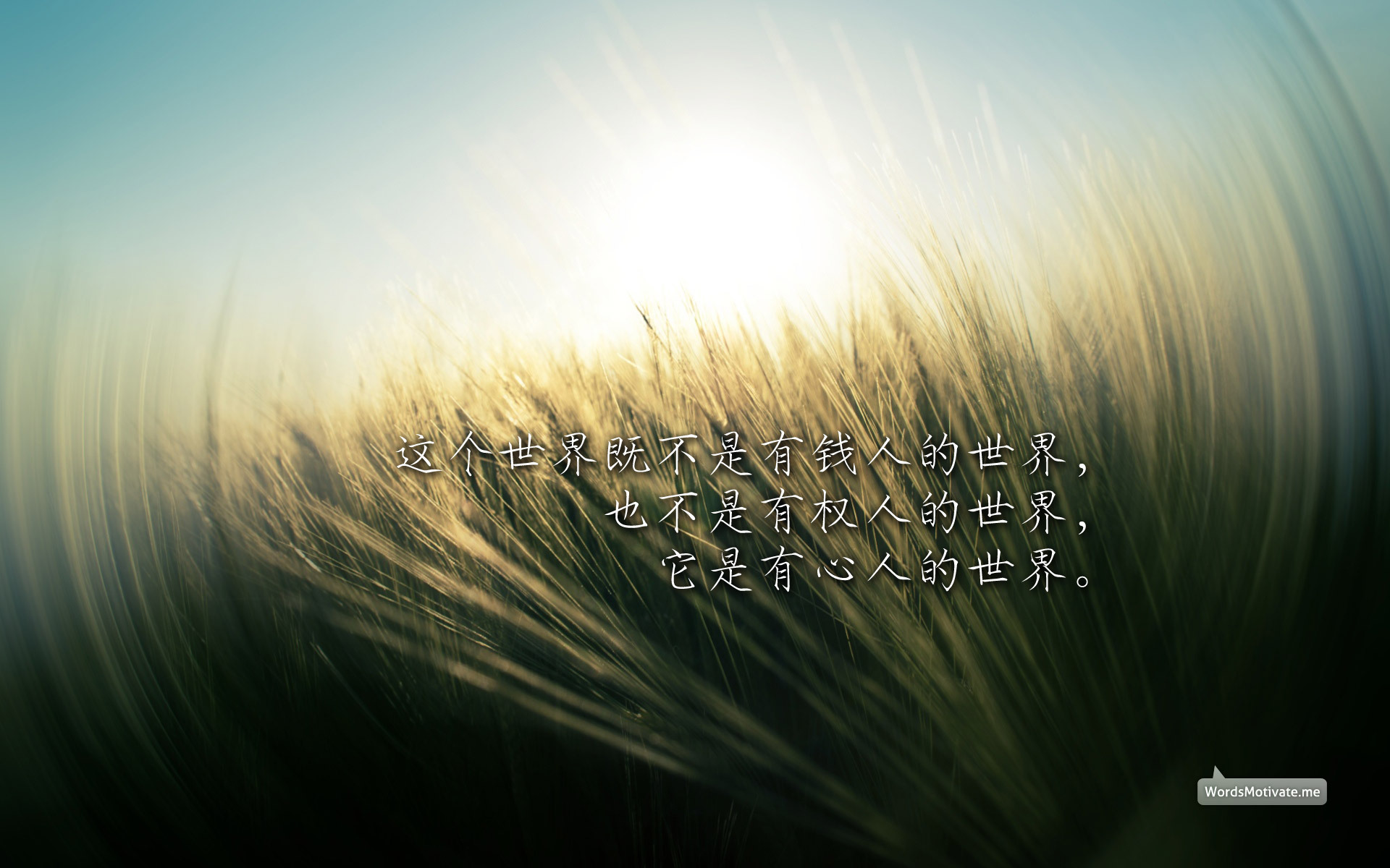 老实人在这个物欲横流的社会想出人头地太难了