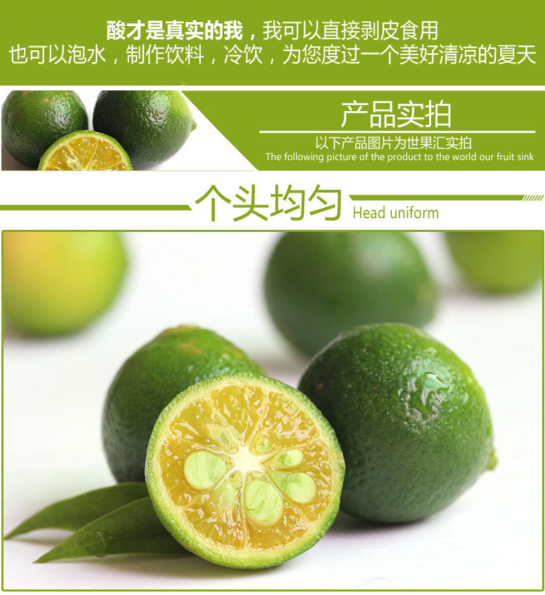 包邮 海南小青桔3斤装小青柠檬茶 奶茶原料 做饮料 sgj01104