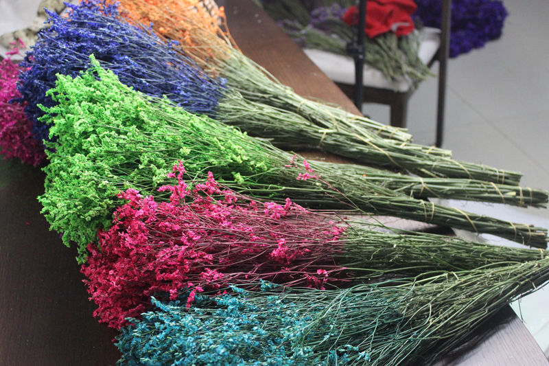 彩色水晶草云南干花基地直供八色